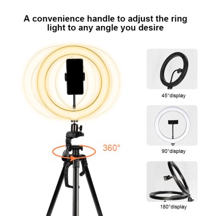 Ring Light Modell 3360 für YouTube und Tik Tok | Mit Ständer max. 167 cm & Bluetooth-Fernbedienung